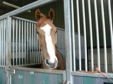 A nice Pseudonym pose for the camera