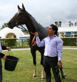 Ruff Diamond & Shah Noor Khan