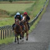Baileys-best-leads-Site-Sentry
