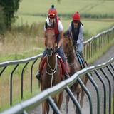 Stockholder-leads-Salinas